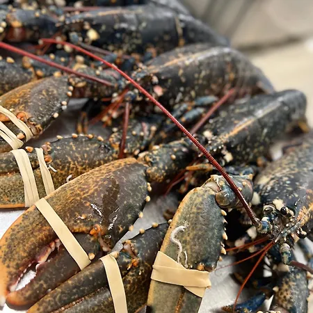 Отель 2 Etoiles Et Restaurant Le Galet Bleu Фура