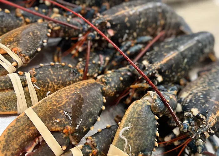 Hotel 2 étoiles Et Restaurant Le Galet Bleu Fouras